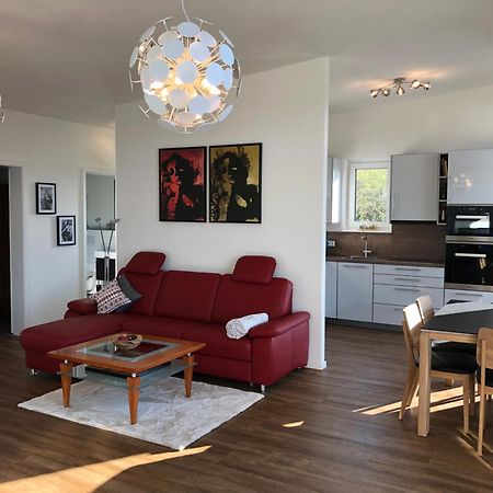 A&N Prestige Apartments "Attika" Close To Basel And Rhine River Grenzach-Wyhlen Extérieur photo