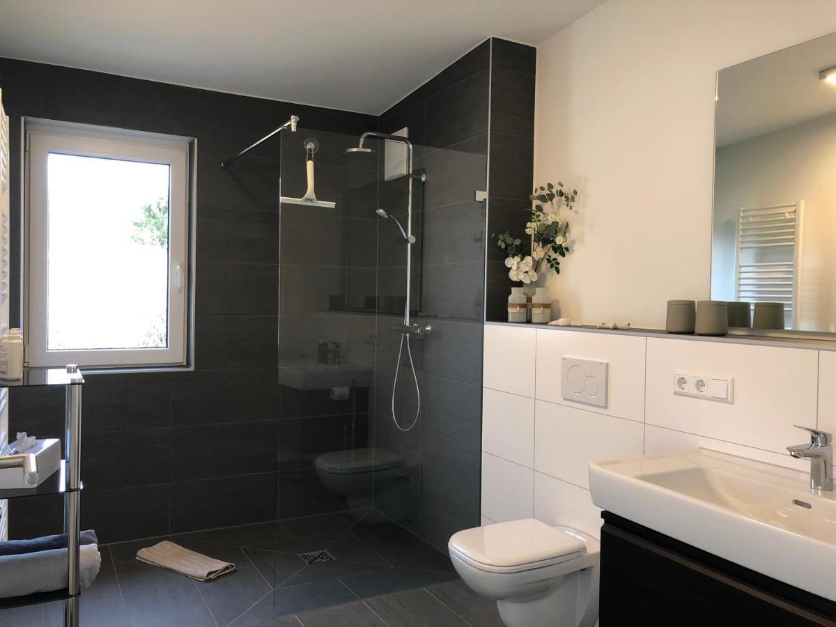 A&N Prestige Apartments "Attika" Close To Basel And Rhine River Grenzach-Wyhlen Extérieur photo